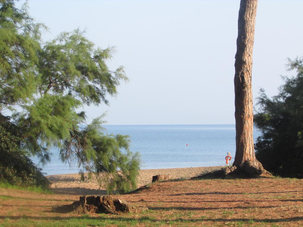 Azienda Agrituristica Allumiere Villa Campiglia Marittima Ngoại thất bức ảnh