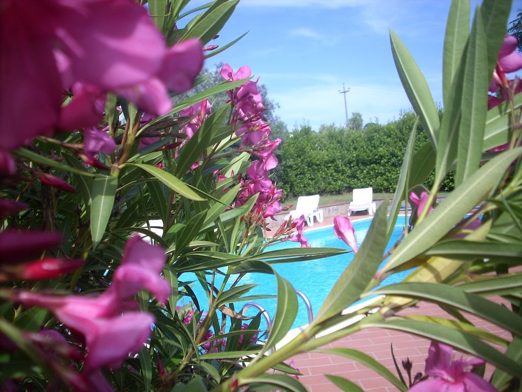 Azienda Agrituristica Allumiere Villa Campiglia Marittima Ngoại thất bức ảnh