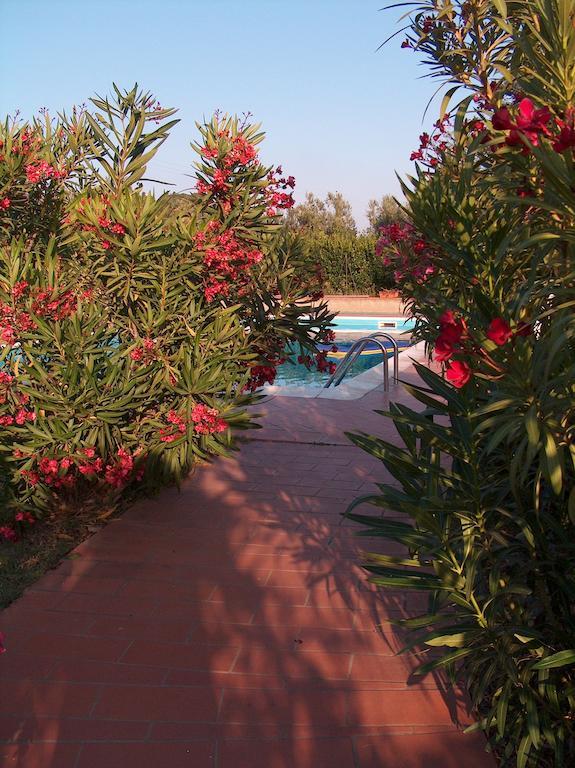 Azienda Agrituristica Allumiere Villa Campiglia Marittima Ngoại thất bức ảnh